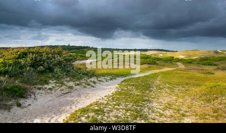 Dune naturali vicino a Bergen aan zee nel nord dell'Olanda Foto Stock