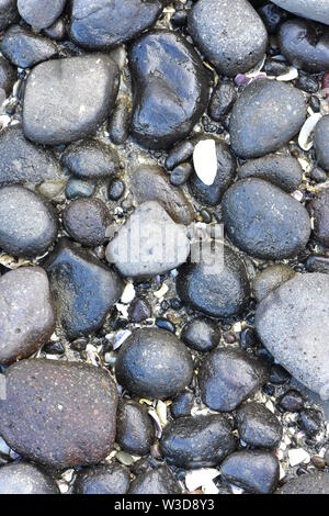 Wet ciottoli di diverse dimensioni e forme con alcuni ghiaia fra loro. Foto Stock