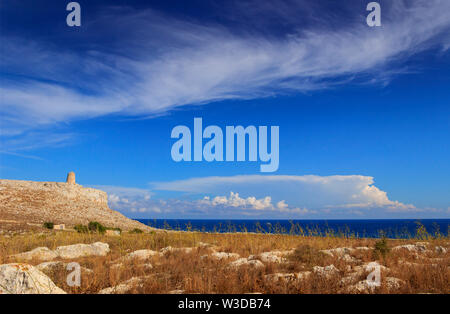 Il paesaggio più bello d'Italia: Salento, Puglia. Sullo sfondo la torre di Sant'Emiliano. Foto Stock