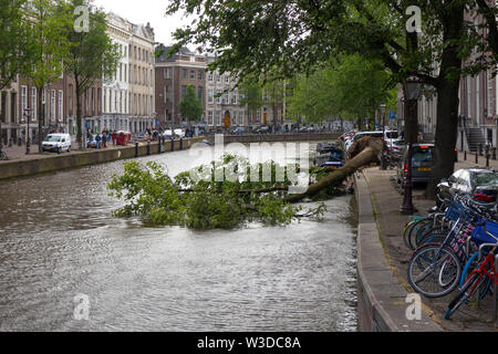 Amsterdam, Olanda - Giugno 09, 2019: soffiata albero nel canale dopo un forte temporale Foto Stock