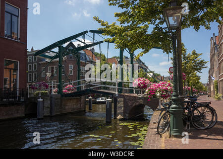 Leiden, Olanda - Luglio 05, 2019: metallo disegnare ponte sopra l'Oude Rijn canal decorato con fiori Foto Stock