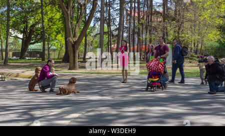 Debrecen Ungheria 04 19 2019 Mamma e papà prendere il loro bambino a Debrecen al grande parco forestale. Foto Stock