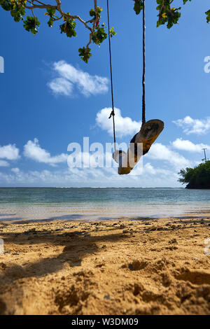 Una corda swing con un pezzo di legno appeso ad un ramo di albero su una spiaggia di sabbia a Kauai, Hawaii. Foto Stock