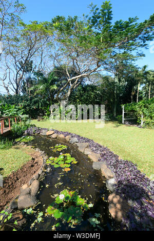 Vista panoramica di Maire Nui Giardini Botanici, Rarotonga Isole Cook, Polinesia Foto Stock