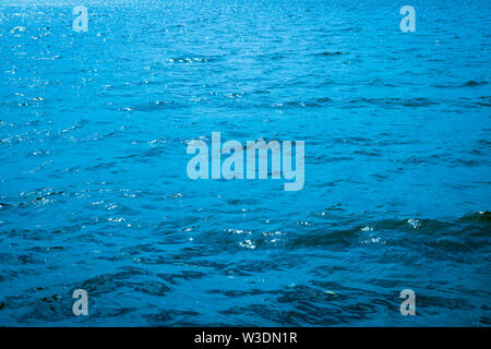 Blue acque azzurre del mare. Onde sulla superficie dell'acqua. Abstract background. Foto Stock