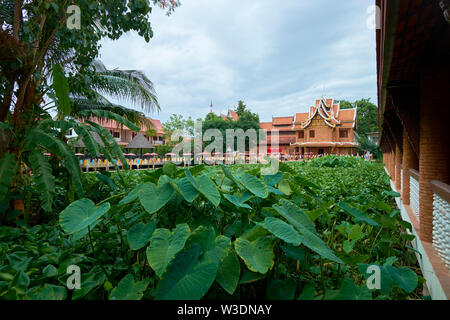 La bella lily pad stagno e colorato ponte lanterna di Wat Jet Lin in Chiang Mai, Thailandia. Foto Stock