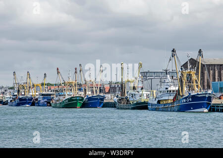 IJmuiden, Paesi Bassi, 14 Luglio 2019: il verde e il blu attività di pesca i pescherecci con reti da traino sono ormeggiati in porto Vissershaven in un giorno nuvoloso in estate Foto Stock