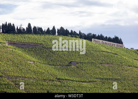 Tain l'Hermitage, Francia - 28 Giugno 2017: vista del M. Chapoutier Crozes-Hermitage vigneti a Tain l'Hermitage, la valle del Rodano, Francia Foto Stock