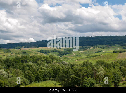 Francia, Giura, Arbois, paesaggio di vigneti nel comune di Pupillin, famoso terroir del vino del Giura Foto Stock