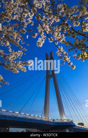 Giappone, Honshu, Tokyo, Toyosu, Shinonome, Sakurabashi Bridge Foto Stock