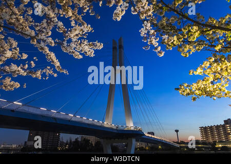 Giappone, Honshu, Tokyo, Toyosu, Shinonome, Sakurabashi Bridge Foto Stock