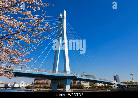 Giappone, Honshu, Tokyo, Toyosu, Shinonome, Sakurabashi Bridge Foto Stock