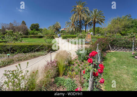 Parco pubblico, giorno di primavera, giardino di rose, Parc Cervantes nel quartiere Las Corts di Barcellona, in Catalogna, Spagna. Foto Stock