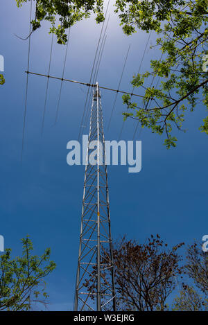 La radio di prosciutto torre di comunicazioni al di sopra della linea di albero Foto Stock