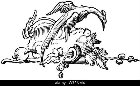 Taglio di legno inciso illustrazione; prese da "Bewick Thomas "una storia generale di quadrupedi"; pubblicato da T; Bewick; Longman e Co; stampato da Edward Foto Stock