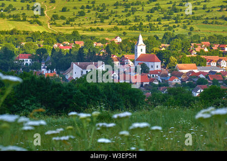 Villaggio Rimetea (Torocko in ungherese o Eisenmarkt, Eisenburg, Traschen in tedesco) con chiesa bianca e tradizionali case della Transilvania, inizio morni Foto Stock