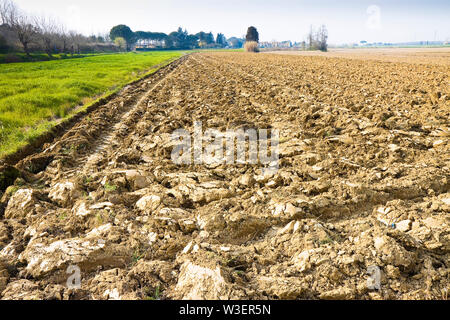 Dettaglio di un campo arato nella campagna Toscana (Italia)- spazio per l'inserimento di testo Foto Stock