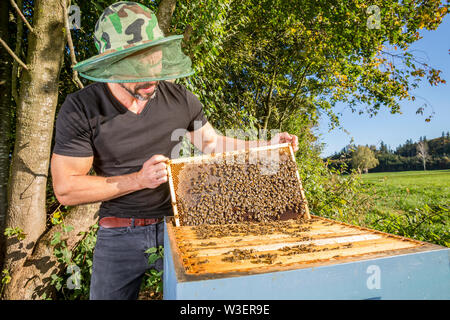 Ritratto di beekeper maschio con alveare Foto Stock