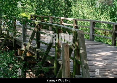 New Scenic 5 posti in legno ponte pedonale su un fiume selvaggio con alberi e piante in background Foto Stock