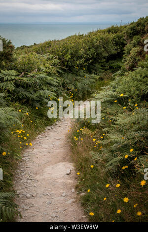 Sentiero della costa sud di Noth devon Foto Stock