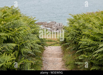 Sentiero della costa sud di Noth devon Foto Stock