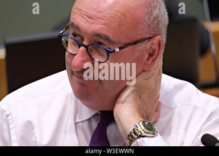 Bruxelles, Belgio, 15 luglio 2019. Phil Hogan, Commissario Ue assiste in un Unione europea Consiglio Agricoltura e pesca riunione. Credito: ALEXANDROS MICHAILIDIS/Alamy Live News Foto Stock