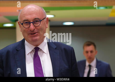 Bruxelles, Belgio, 15 luglio 2019. Phil Hogan, Commissario Ue assiste in un Unione europea Consiglio Agricoltura e pesca riunione. Credito: ALEXANDROS MICHAILIDIS/Alamy Live News Foto Stock