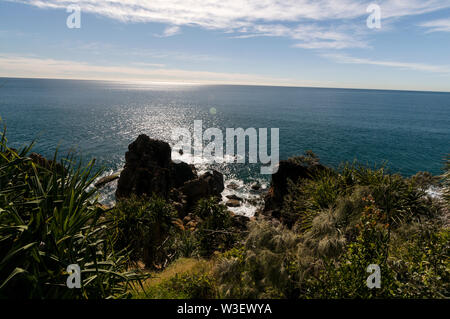 La capezzagna in Joseph Banks Conservation Park al punto d'onda, con alte vedute del Mar dei Coralli vicino alla città 1770 e Bustard Bay nel Queensland, Austr Foto Stock