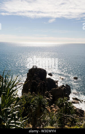 La capezzagna in Joseph Banks Conservation Park al punto d'onda, con alte vedute del Mar dei Coralli vicino alla città 1770 e Bustard Bay nel Queensland, Austr Foto Stock