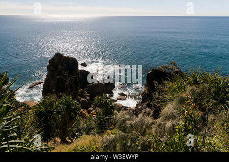 La capezzagna in Joseph Banks Conservation Park al punto d'onda, con alte vedute del Mar dei Coralli vicino alla città 1770 e Bustard Bay nel Queensland, Austr Foto Stock
