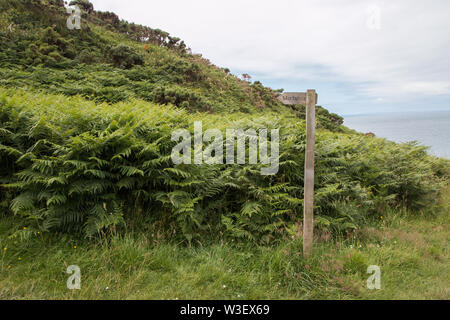 Sentiero della costa sud di Noth devon Foto Stock