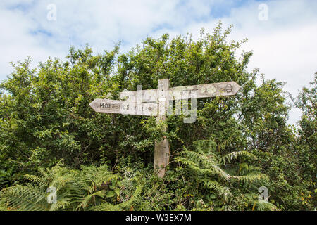 Sentiero della costa sud di Noth devon Foto Stock