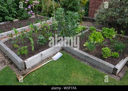 Sollevate i letti per la coltivazione di ortaggi in giardino suburbano, varietà di piante commestibili compresi i fagioli, il mais, la lattuga e cipolle Foto Stock