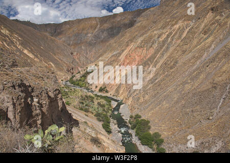 Il Fiume Colca che corre attraverso il Grande Canyon del Colca, Perù Foto Stock