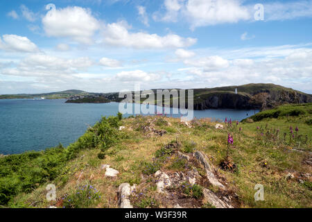 La splendida vista dal Sherkin Island a Baltimore Bay con un famoso faro bianco sulla riva.Paese Cork, Irlanda. Foto Stock
