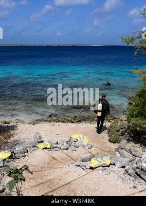 Subacqueo entrata in acqua presso la scogliera sito di immersione, Bonaire, Antille olandesi Foto Stock