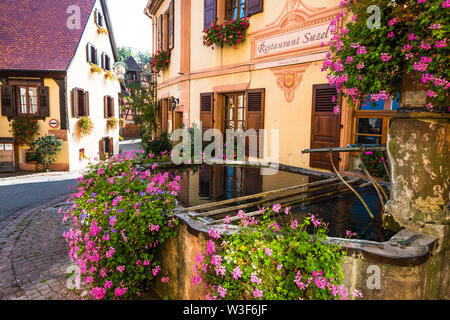 Vecchia scenic bene con esuberanti decorazioni floreali in Hunawihr, tipico per la strada dei vini di Alsazia, Francia, stati dei più bei villaggi di Francia Foto Stock