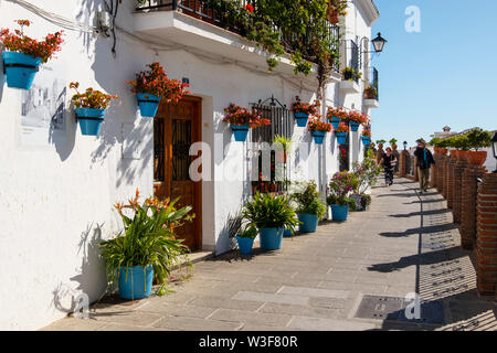 Strada tipica con fiori di colore bianco, villaggio di Mijas. Provincia di Malaga Costa del Sol. Andalusia, Spagna del Sud Europa Foto Stock