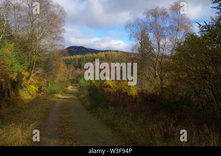 Il Loch Lomond e Cowal modo. Cowal peninsula. Highlands. La Scozia. Regno Unito Foto Stock
