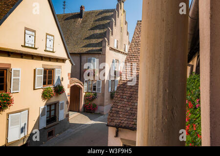 Villaggio Mittelbergheim, vino tipico villaggio all'Alsazia strada del vino, gli stati dei più bei villaggi di Francia Foto Stock