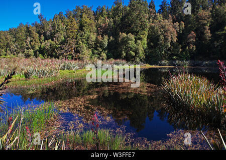 Trekking intorno al lago Specchio sulla South Island, in Nuova Zelanda Foto Stock