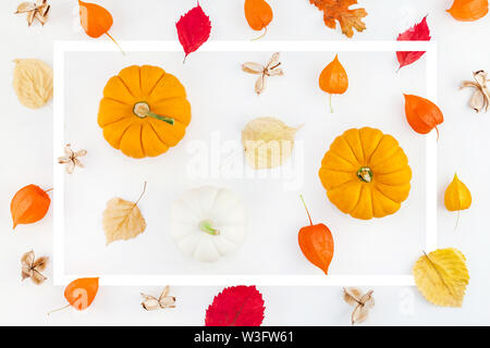 Creative vista superiore piatta autunno laici composizione con cornice. Zucche essiccati Fiori arancione lascia la configurazione di sfondo. Caduta del modello di giorno di ringraziamento per il raccolto Foto Stock