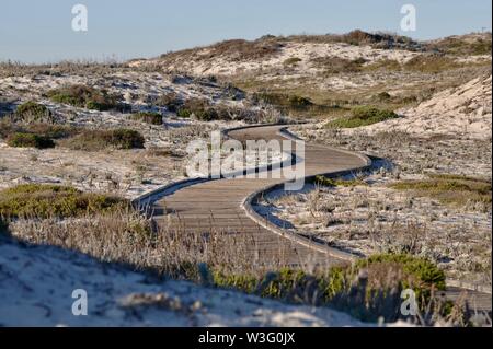 Legno, ondulato, a forma di s boardwalk percorso sopra fragile ecosistema di dune a Asilomar parco dello Stato, nessun popolo passeggiate, Pacific Grove, California, Stati Uniti d'America Foto Stock