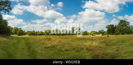 Riserva naturale che circonda Forge Mill e Bordesley Abbey a Redditch, Worcestershire. Foto Stock