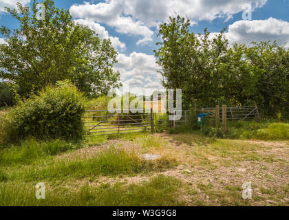 Riserva naturale che circonda Forge Mill e Bordesley Abbey a Redditch, Worcestershire. Foto Stock