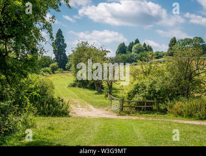 Riserva naturale che circonda Forge Mill e Bordesley Abbey a Redditch, Worcestershire. Foto Stock