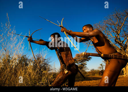 Cacciatori boscimani con arco e frecce che simula una battuta di caccia a Grashoek, Namibia Foto Stock