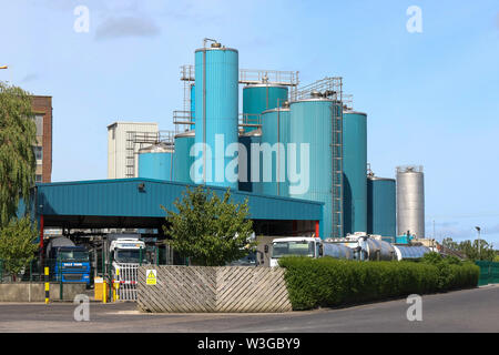 Autocisterne per il latte al formaggio di un impianto di produzione in Irlanda del Nord appartenenti al Glanbia. Foto Stock