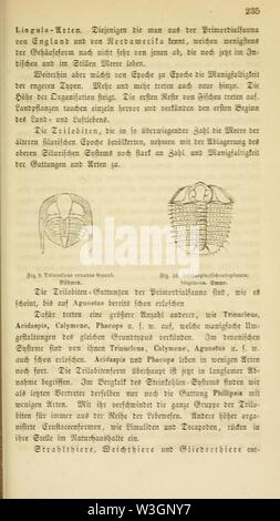 Chs. Darwin's Lehre von der Entstehung der arten pflanzen im- und thierreich in ihrer anwendung auf die schöpfungsgeschichte (pagina 235) Foto Stock