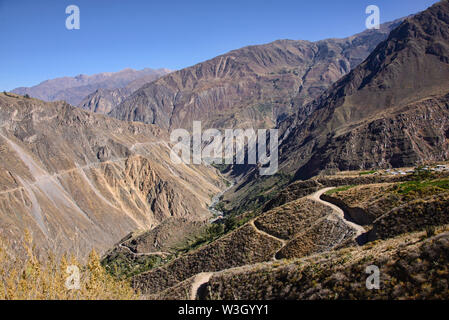 Vista panoramica del Canyon del Colca, Cabanaconde, Perù Foto Stock